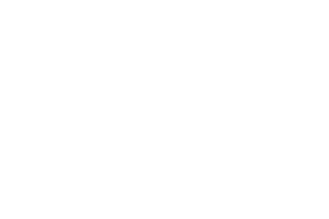 logo-lattoflex