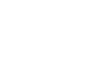 logo-swissflex