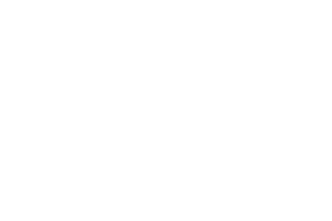 logo-bossi