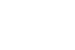 logo-essix