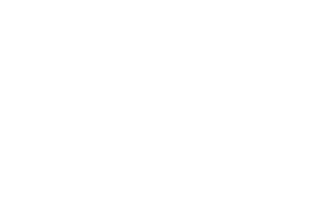 logo-zucchi